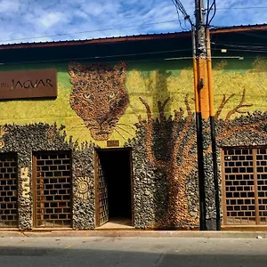 Refugio Del Jaguar Hotel