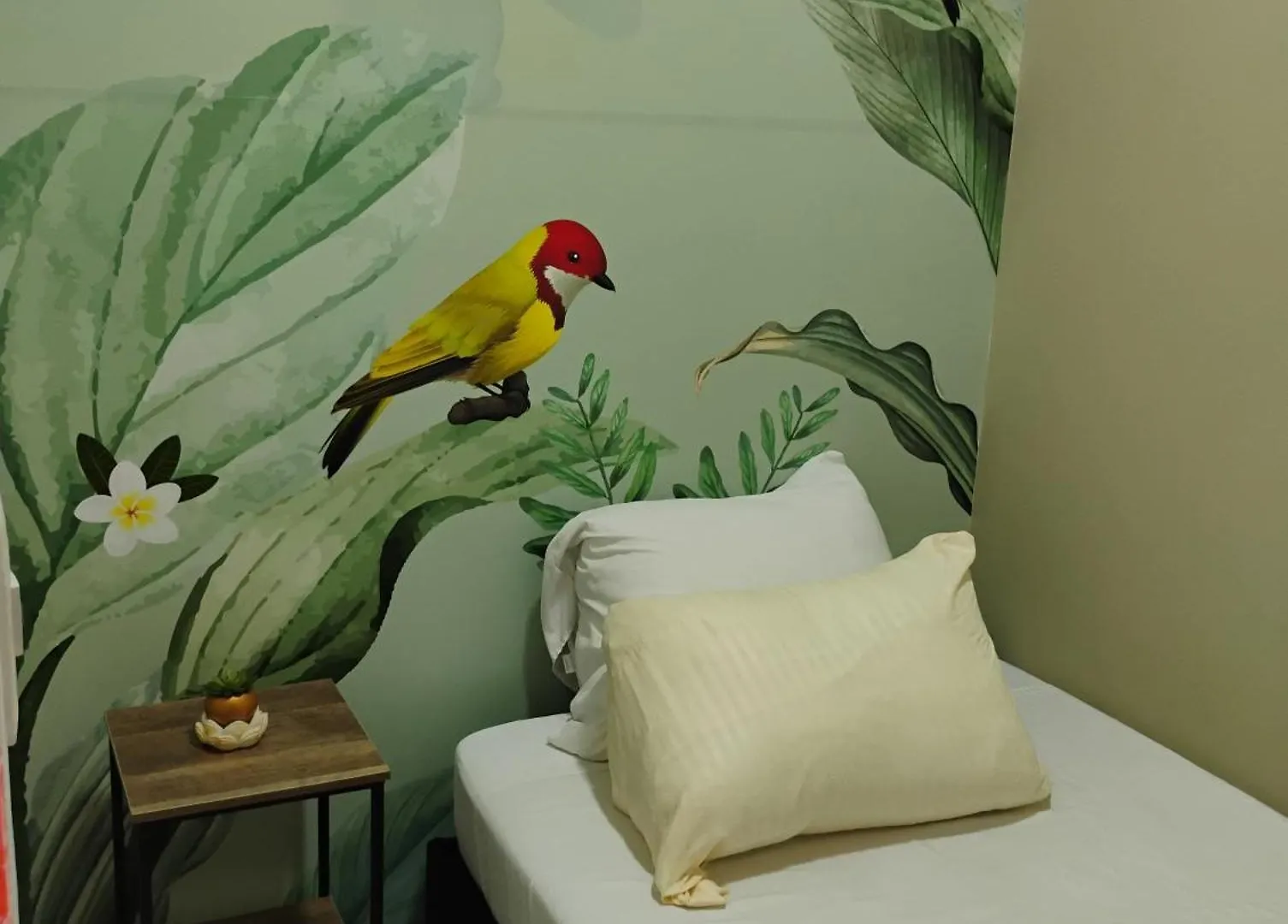 Parceros Med Hostel Medellín Colômbia